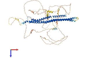 AlphaFold protein structure predicition of Mouse Recombinant Mtss1 Protein, UniprotID Q8R1S4