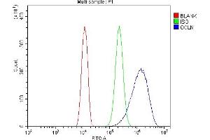 Flow Cytometry analysis of U20S cells using anti-Occludin/OCLN antibody (ABIN7601995).