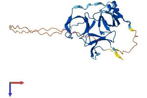 AlphaFold protein structure predicition of Human Recombinant SPIN2A Protein, UniprotID Q99865