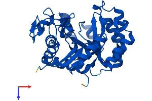 AlphaFold protein structure predicition of Human Recombinant TATDN1 Protein, UniprotID Q6P1N9