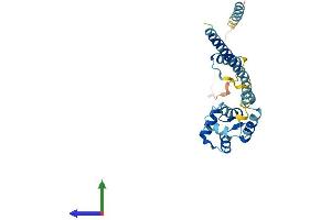 AlphaFold protein structure predicition of Human Recombinant EFHD1 Protein, UniprotID Q9BUP0