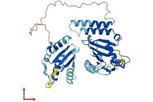AlphaFold protein structure predicition of Mouse Recombinant Ube2q2 Protein, UniprotID Q8K2Z8