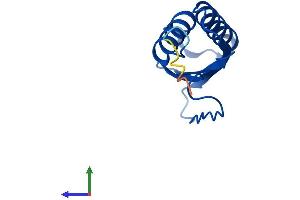 AlphaFold protein structure predicition of Mouse Recombinant Dynlt1 Protein, UniprotID P51807
