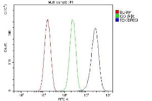 Flow Cytometry analysis of HeLa cells using anti-TEK antibody (ABIN7600762). (TEK anticorps  (AA 23-616))
