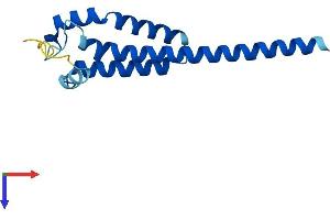 AlphaFold protein structure predicition of Human Recombinant TMEM18 Protein, UniprotID Q96B42