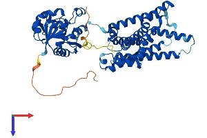 AlphaFold protein structure predicition of Mouse Recombinant Steap3 Protein, UniprotID Q8CI59