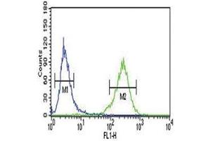 AHR antibody flow cytometric analysis of NCI-H460 cells (green)