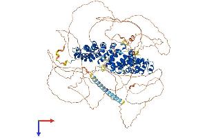 AlphaFold protein structure predicition of Human Recombinant PKP4 Protein, UniprotID Q99569