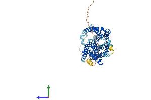 AlphaFold protein structure predicition of Mouse Recombinant Slc10a1 Protein, UniprotID O08705