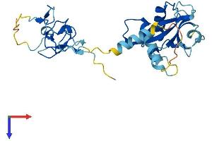 AlphaFold protein structure predicition of Human Recombinant ZFAND1 Protein, UniprotID Q8TCF1