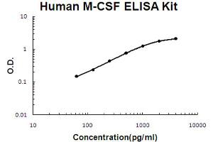 Human M-CSF Accusignal ELISA Kit Human M-CSF AccuSignal ELISA Kit standard curve. (M-CSF/CSF1 Kit ELISA)