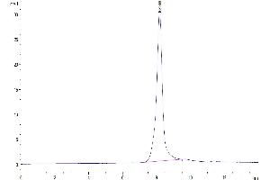 The purity of Mouse EPHA10 is greater than 95 % as determined by SEC-HPLC.