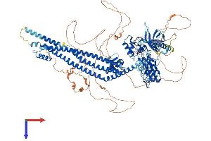 AlphaFold protein structure predicition of Mouse Recombinant Asap1 Protein, UniprotID Q9QWY8