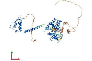 AlphaFold protein structure predicition of Human Recombinant THRA Protein, UniprotID P10827