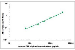 Representative Standard Curve (FAP Kit ELISA)