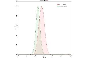 Detection of PKM2 in HepG2 human hepatocellular carcinoma cell line using Polyclonal Antibody to Pyruvate kinase isozymes M2 (PKM2)