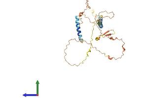 AlphaFold protein structure predicition of Human Recombinant SPEM1 Protein, UniprotID Q8N4L4