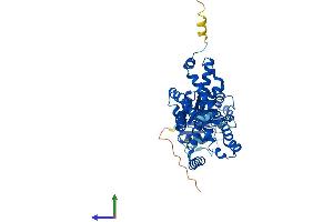 AlphaFold protein structure predicition of Mouse Recombinant Steap4 Protein, UniprotID Q923B6