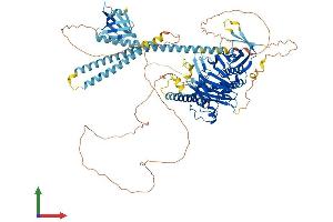 AlphaFold protein structure predicition of Human Recombinant OSBP2 Protein, UniprotID Q969R2
