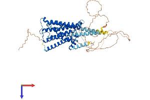 AlphaFold protein structure predicition of Mouse Recombinant Chrm5 Protein, UniprotID Q920H4