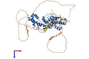 AlphaFold protein structure predicition of Human Recombinant SENP3 Protein, UniprotID Q9H4L4
