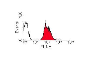 ABIN118933 staining of HLA-B7 +ve human peripheral blood lymphocytes (HLA B7 anticorps  (FITC))