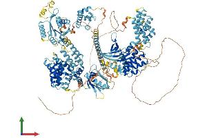 AlphaFold protein structure predicition of Mouse Recombinant Map3k15 Protein, UniprotID A2AQW0