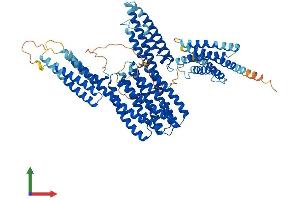 AlphaFold protein structure predicition of Human Recombinant CTNNAL1 Protein, UniprotID Q9UBT7