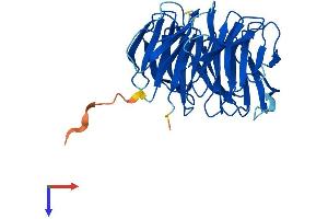 AlphaFold protein structure predicition of Human Recombinant MLST8 Protein, UniprotID Q9BVC4