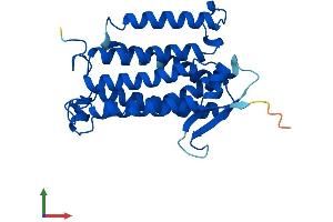 AlphaFold protein structure predicition of Human Recombinant ACER1 Protein, UniprotID Q8TDN7