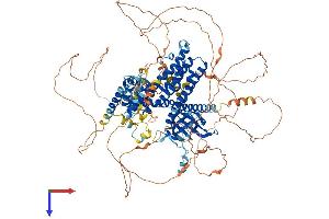 AlphaFold protein structure predicition of Mouse Recombinant Plekhg5 Protein, UniprotID Q66T02