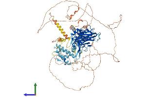 AlphaFold protein structure predicition of Human Recombinant DNAJC6 Protein, UniprotID O75061
