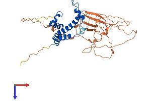 AlphaFold protein structure predicition of Mouse Recombinant Nfyc Protein, UniprotID P70353