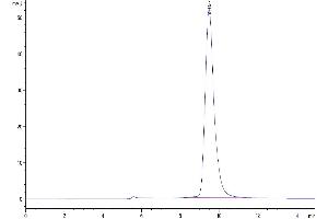 The purity of Mouse Fc gamma RIV/CD16-2 is greater than 95 % as determined by SEC-HPLC.