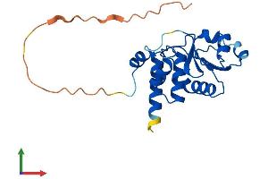 AlphaFold protein structure predicition of Mouse Recombinant Dusp26 Protein, UniprotID Q9D700