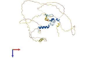 AlphaFold protein structure predicition of Mouse Recombinant Phf23 Protein, UniprotID Q8BSN5