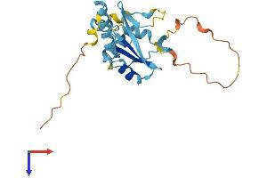 AlphaFold protein structure predicition of Human Recombinant SOCS3 Protein, UniprotID O14543