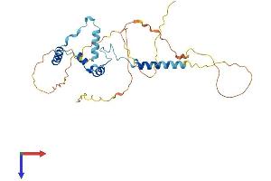 AlphaFold protein structure predicition of Human Recombinant SAP30BP Protein, UniprotID Q9UHR5
