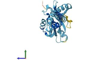 AlphaFold protein structure predicition of Human Recombinant NAT14 Protein, UniprotID Q8WUY8