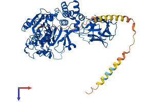 AlphaFold protein structure predicition of Human Recombinant GALNT6 Protein, UniprotID Q8NCL4