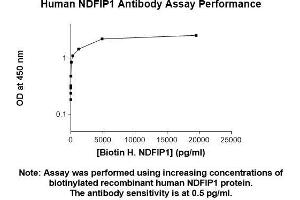 Image no. 2 for anti-Nedd4 Family Interacting Protein 1 (NDFIP1) (AA 1-116) antibody (ABIN5565940)