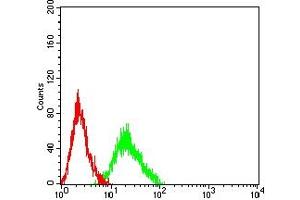 Flow cytometric analysis of HL-60 cells using CHRM5 mouse mAb (green) and negative control (red). (CHRM5 anticorps)