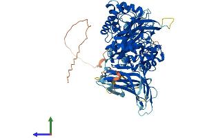 AlphaFold protein structure predicition of Human Recombinant ENGASE Protein, UniprotID Q8NFI3