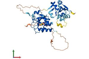 AlphaFold protein structure predicition of Mouse Recombinant Dusp1 Protein, UniprotID P28563