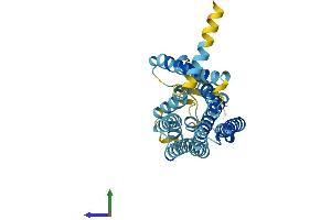 AlphaFold protein structure predicition of Human Recombinant OR12D3 Protein, UniprotID Q9UGF7