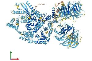 AlphaFold protein structure predicition of Human Recombinant NWD1 Protein, UniprotID Q149M9