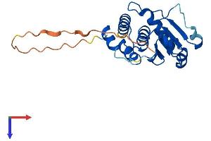 AlphaFold protein structure predicition of Mouse Recombinant Dusp26 Protein, UniprotID Q9D700