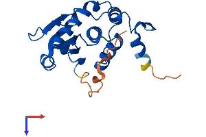 AlphaFold protein structure predicition of Human Recombinant DUSP14 Protein, UniprotID O95147
