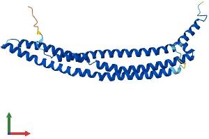 AlphaFold protein structure predicition of Human Recombinant BIN3 Protein, UniprotID Q9NQY0