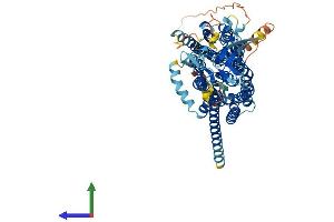AlphaFold protein structure predicition of Mouse Recombinant Slco2b1 Protein, UniprotID Q8BXB6